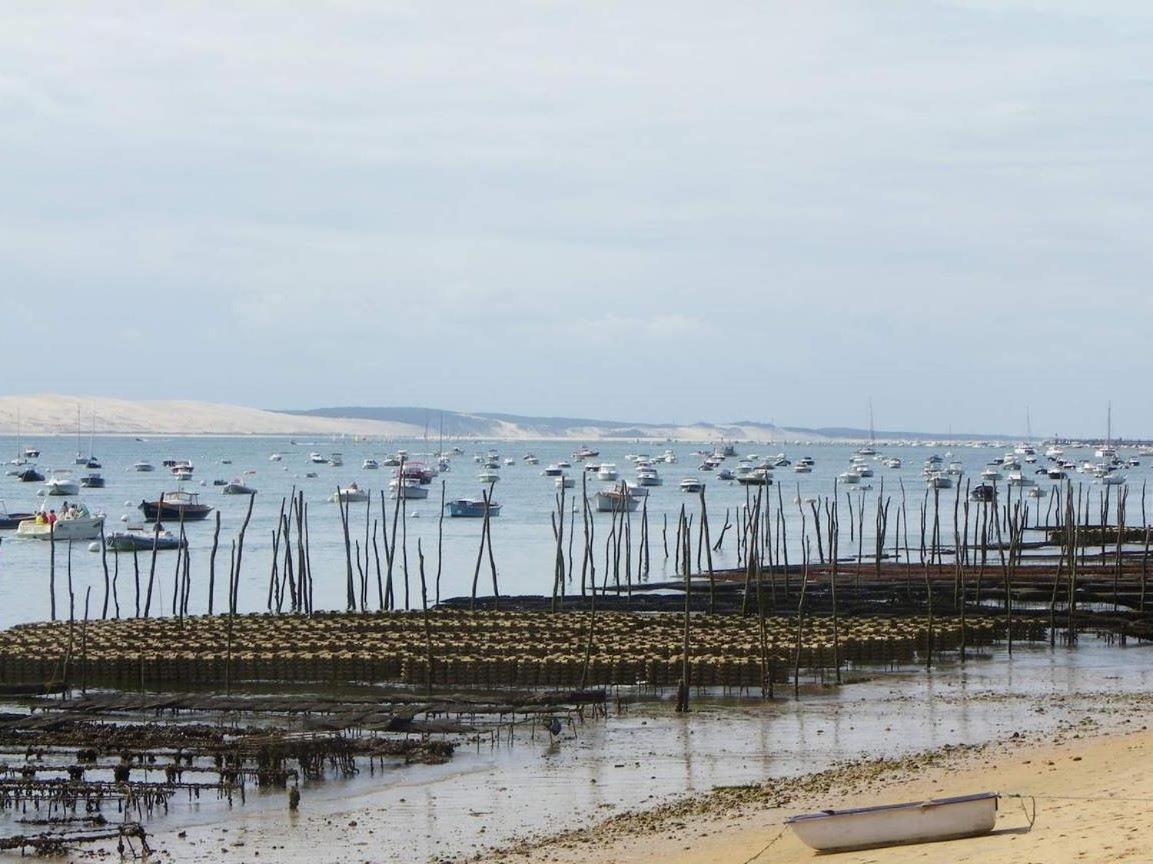 Appartement Cosy Village De L'Herbe Lege-Cap-Ferret Ngoại thất bức ảnh
